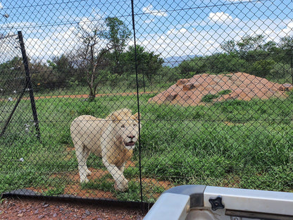  Marakele Animal Sanctuary