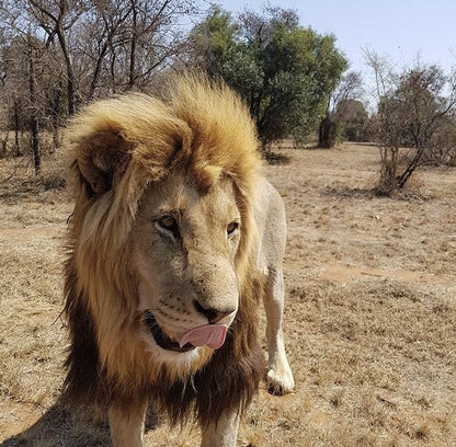  Marakele Animal Sanctuary