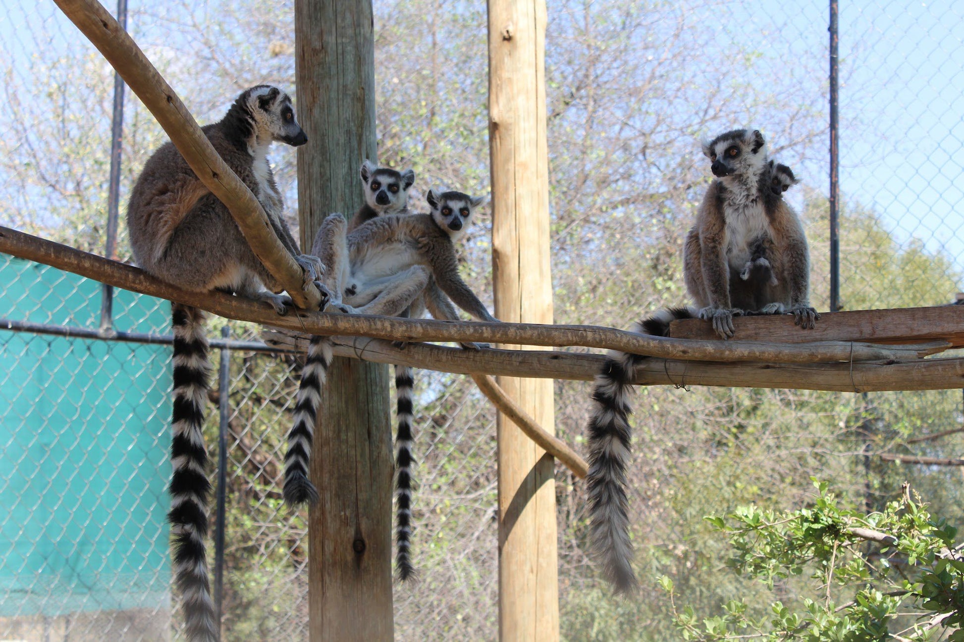  Marakele Animal Sanctuary