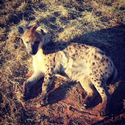  Marakele Animal Sanctuary