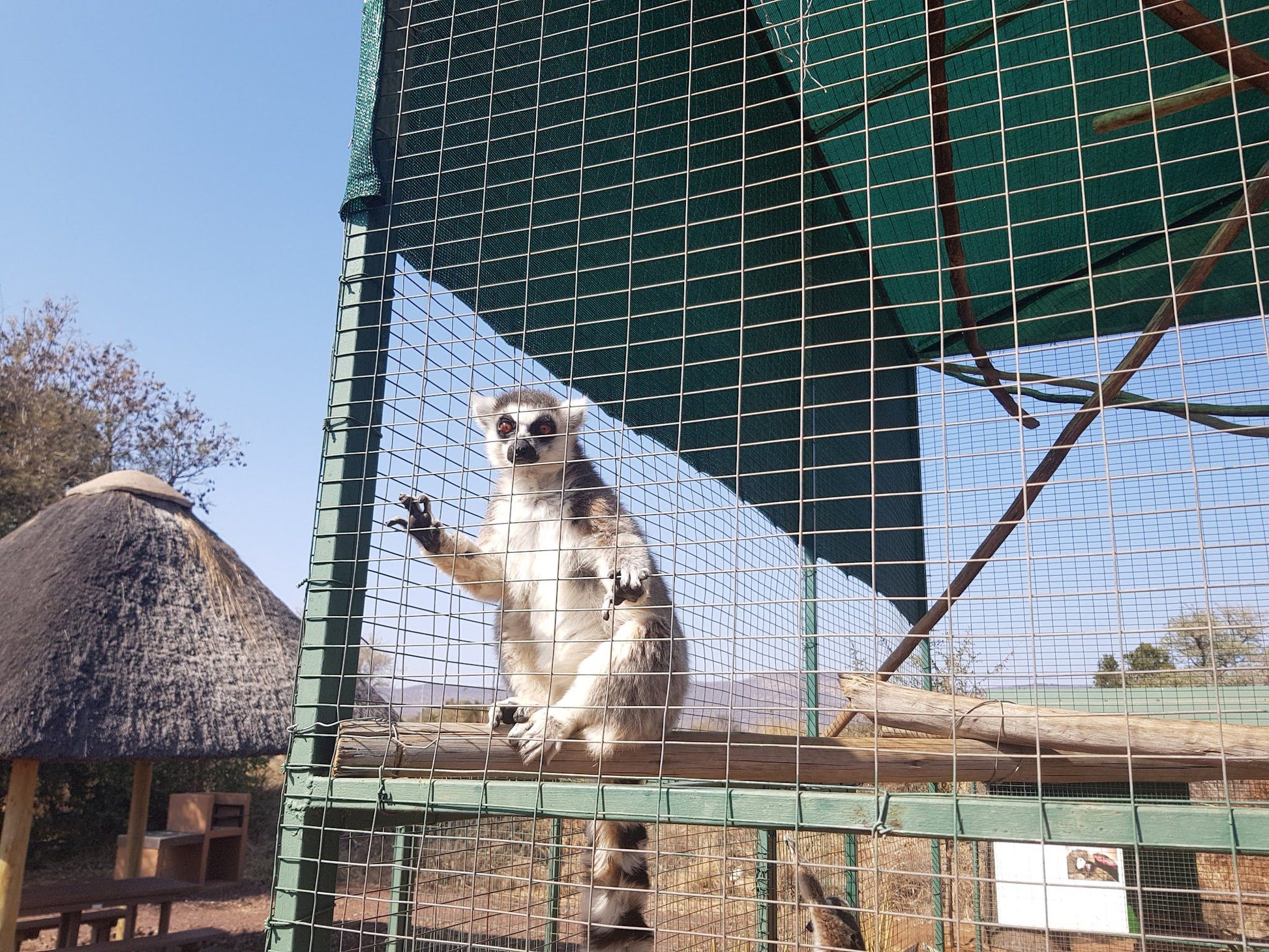  Marakele Animal Sanctuary