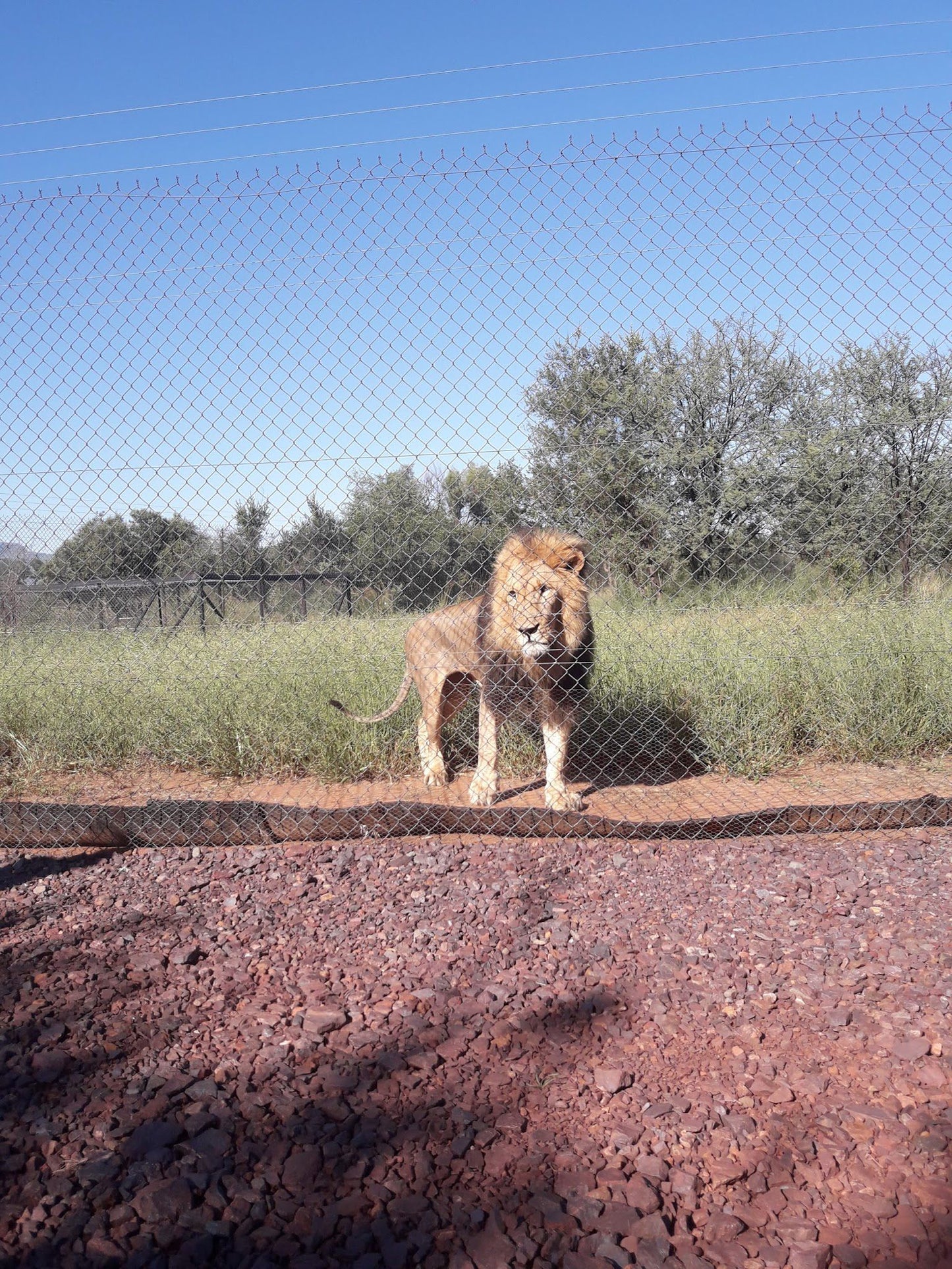  Marakele Animal Sanctuary