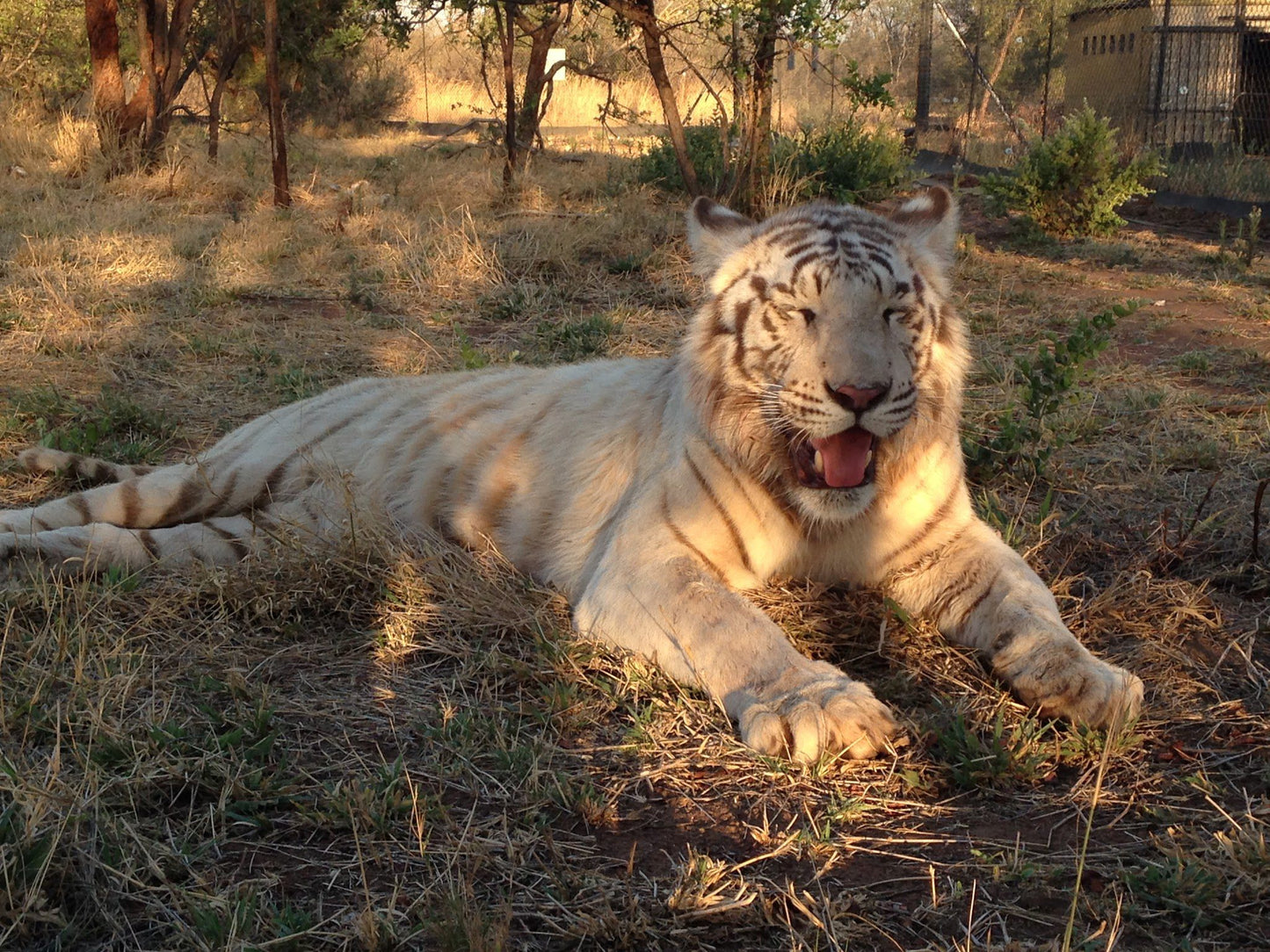  Marakele Animal Sanctuary