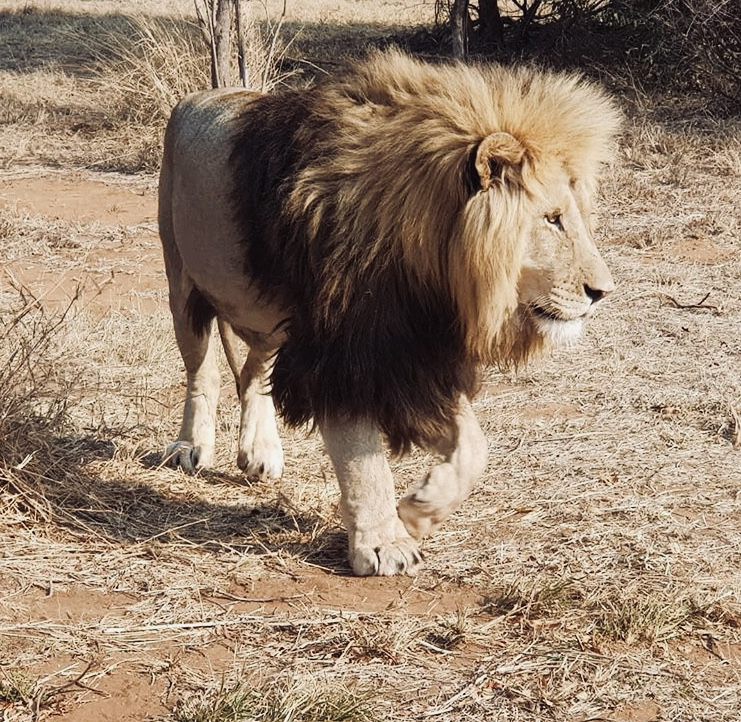  Marakele Animal Sanctuary