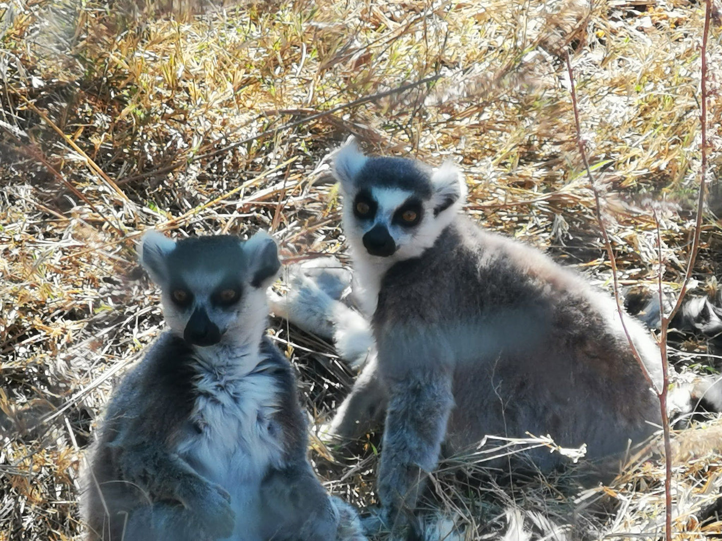  Marakele Animal Sanctuary