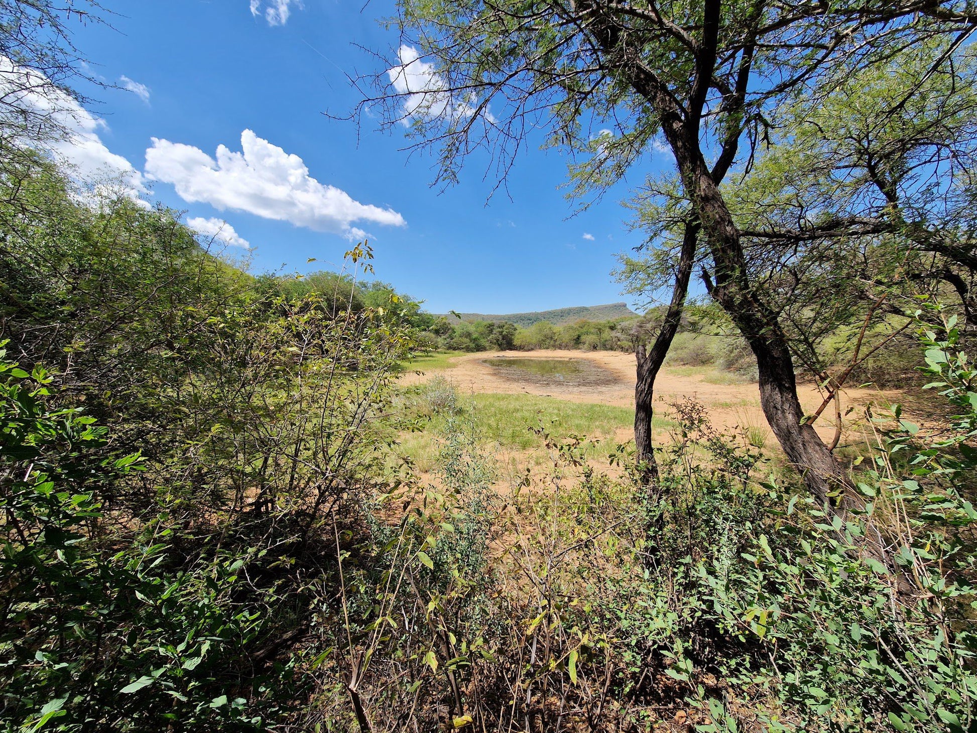  Marakele National Park