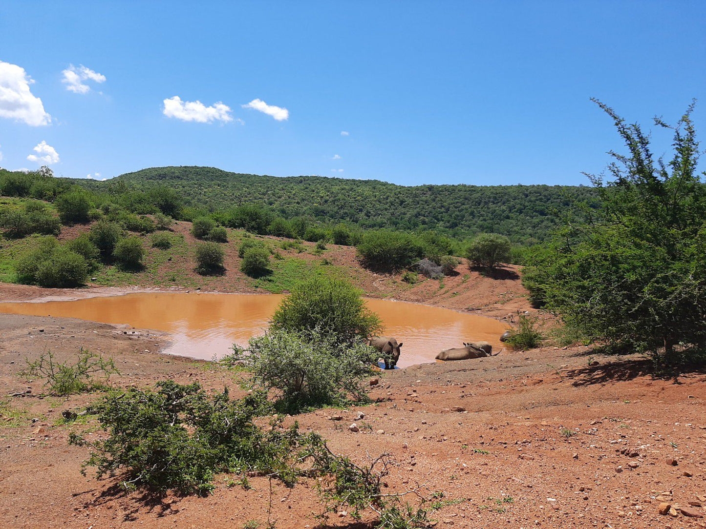  Marakele National Park