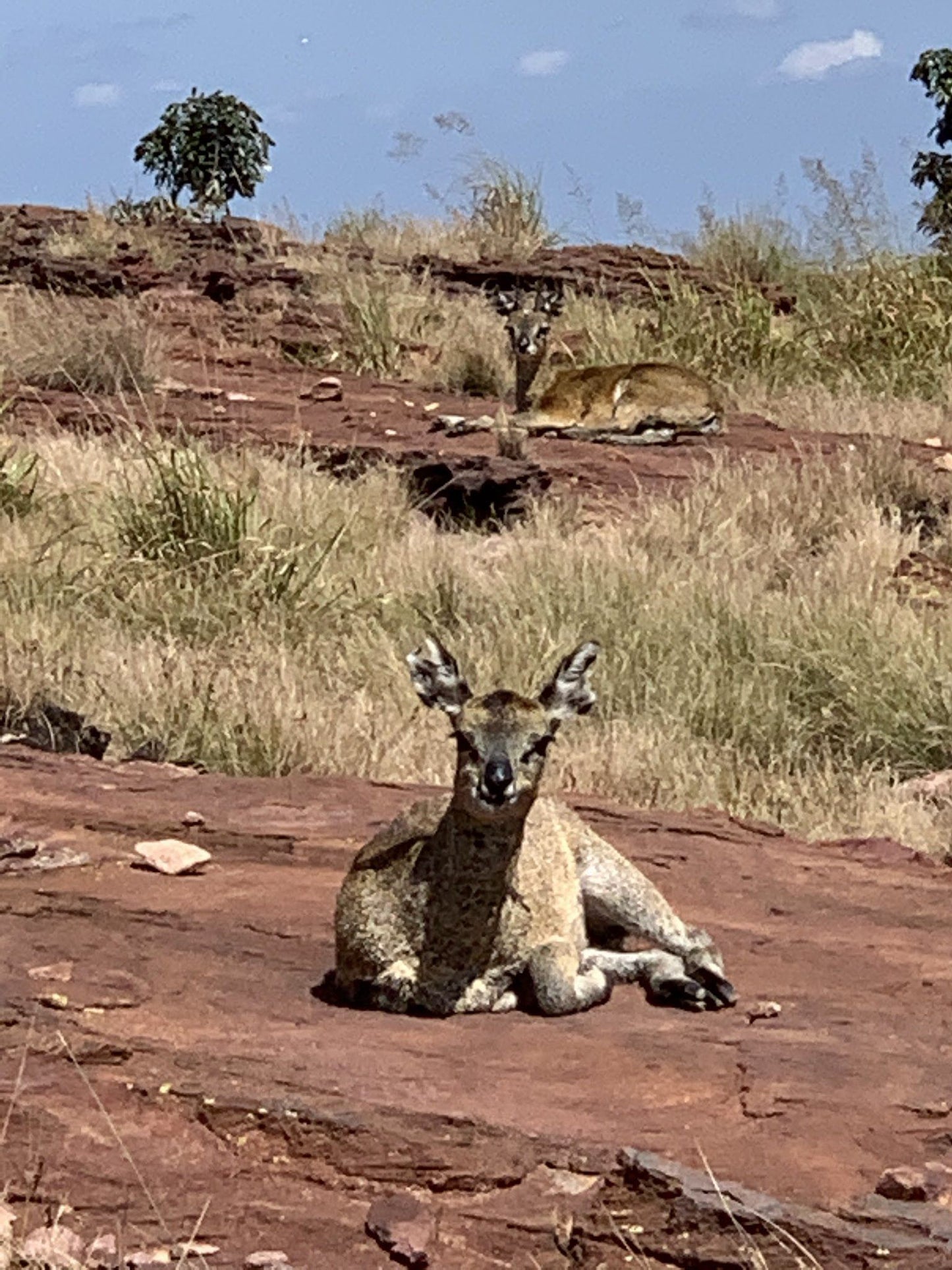  Marakele National Park