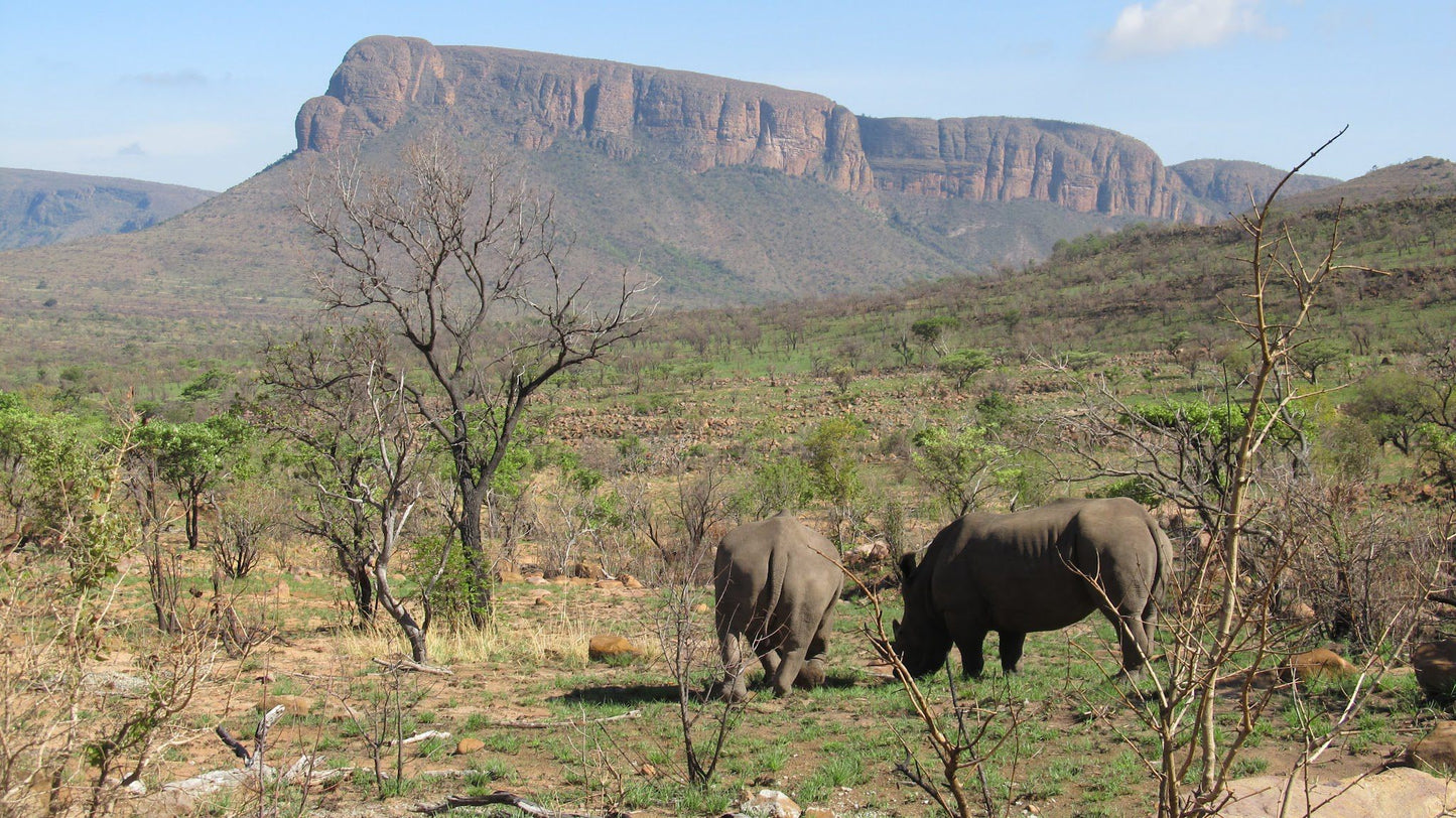  Marakele National Park