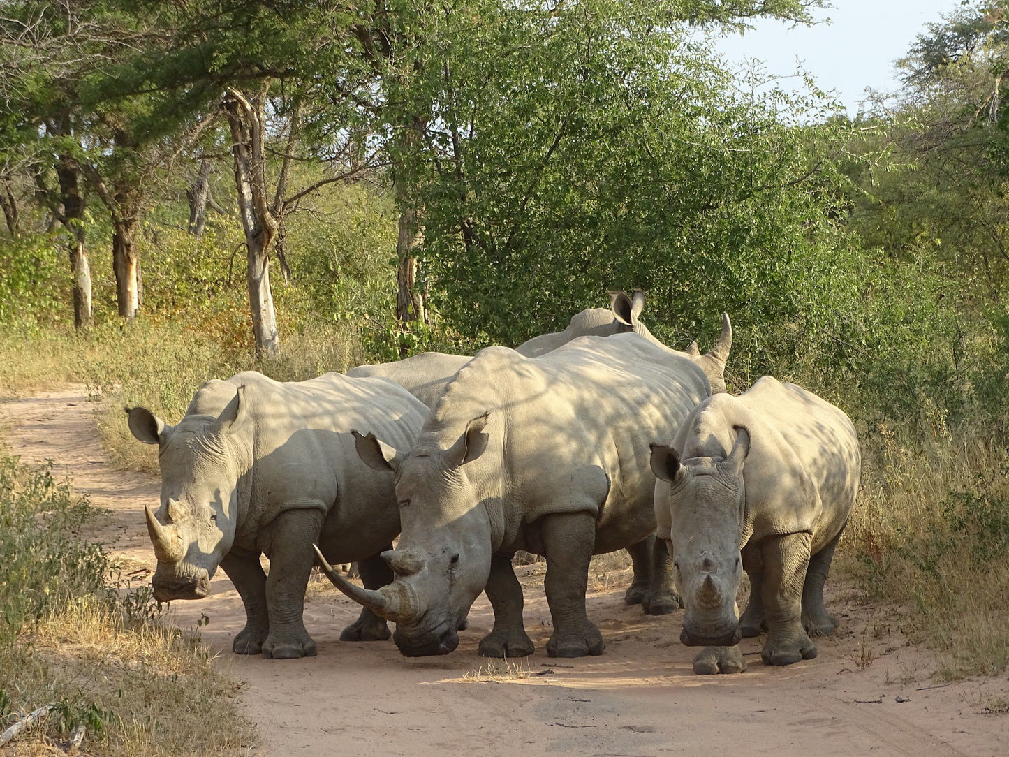  Marakele National Park