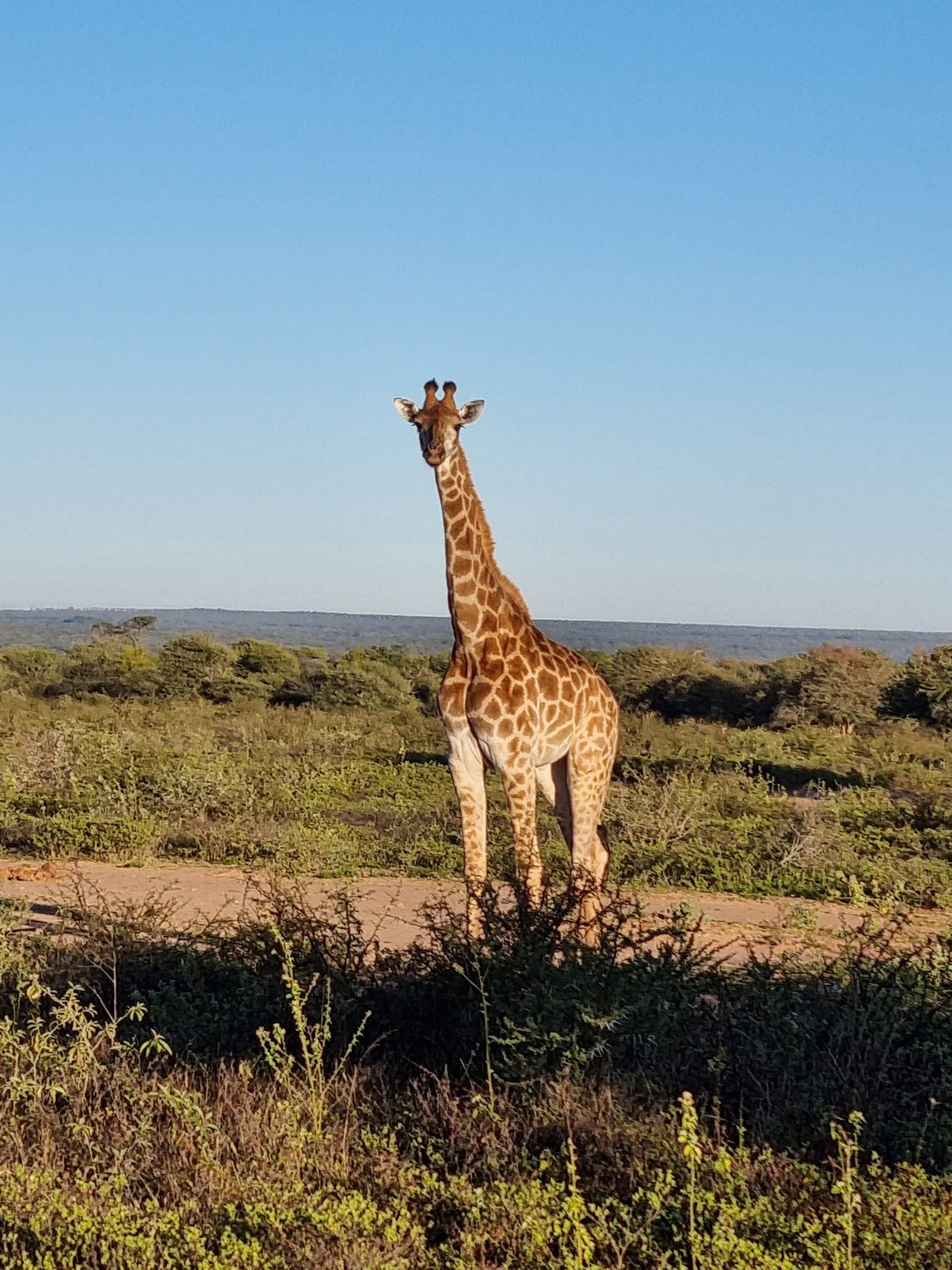  Marakele National Park