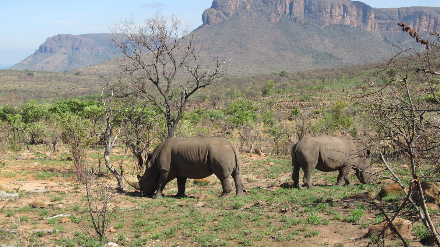  Marakele National Park