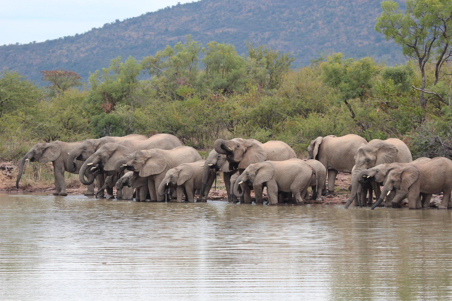  Marakele National Park