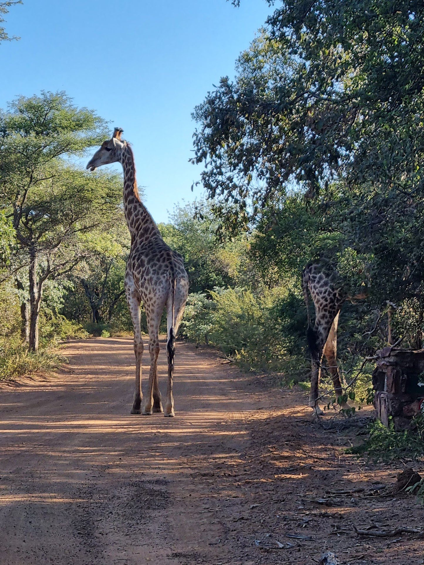  Marakele National Park