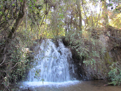  Maria Shires Falls