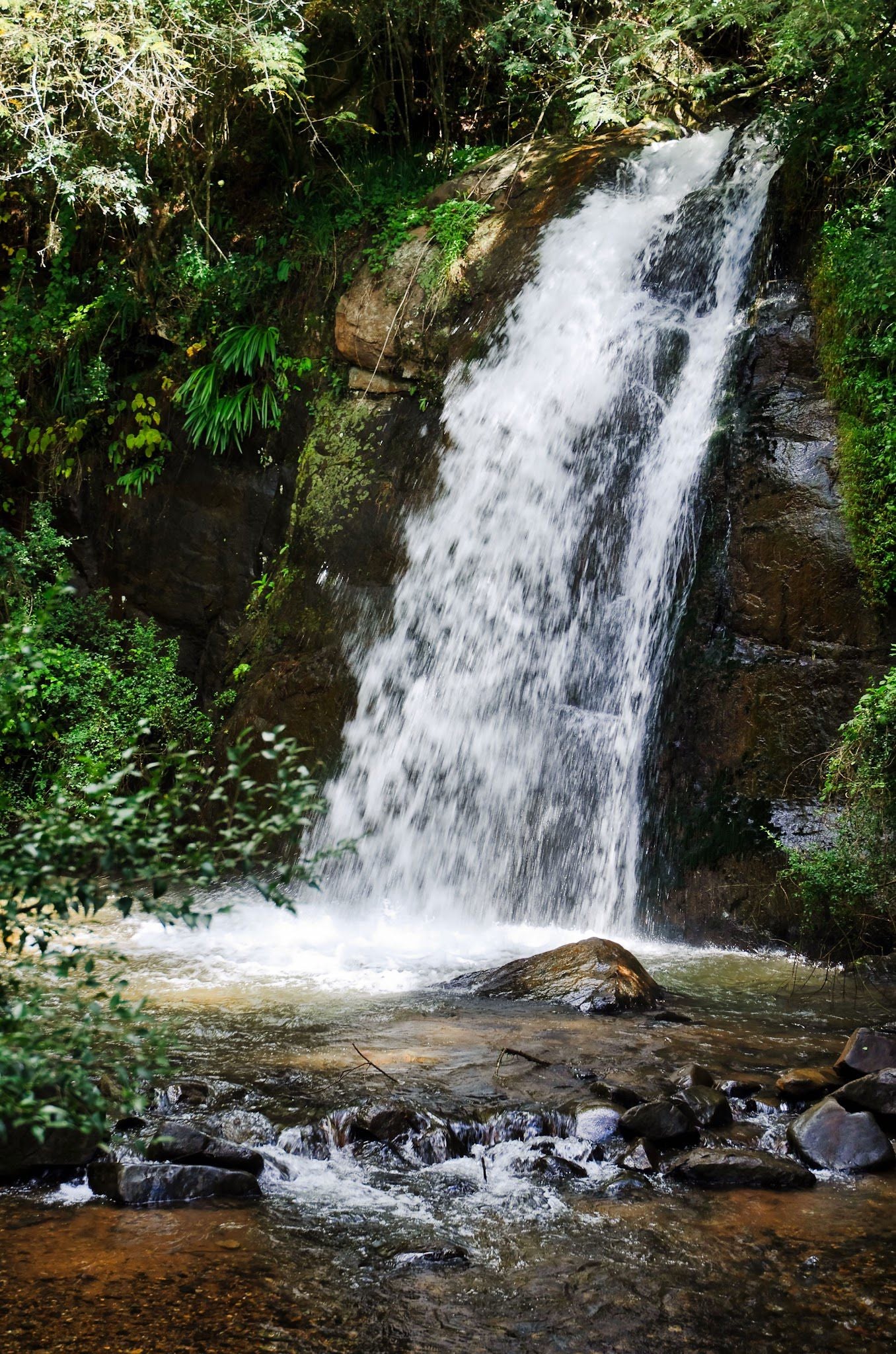  Maria Shires Falls