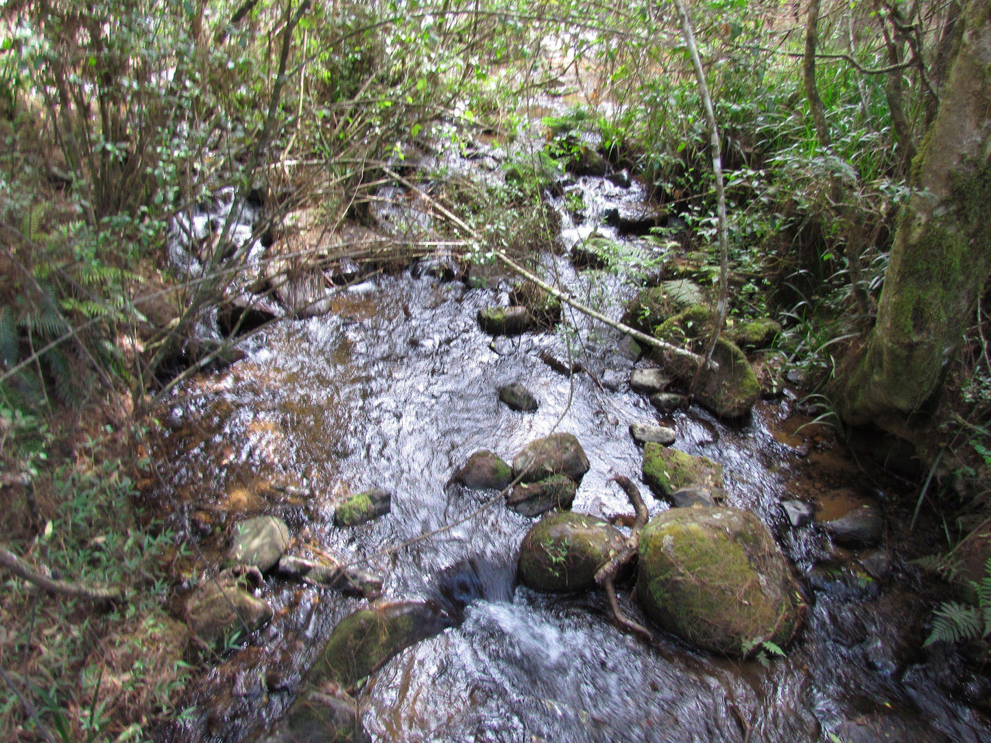  Maria Shires Falls