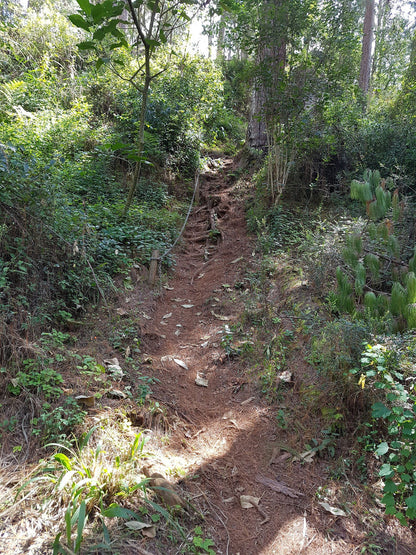  Maria Shires Falls