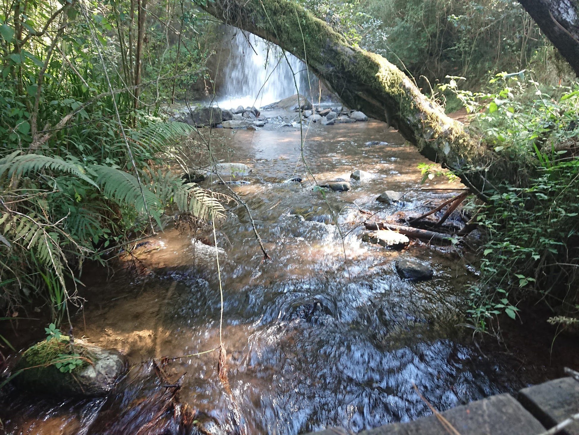  Maria Shires Falls