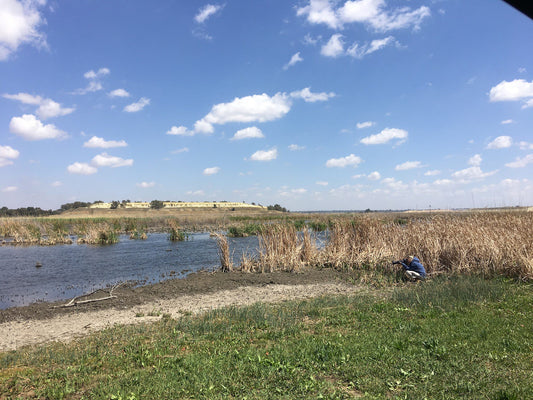  Marievale Bird Sanctuary