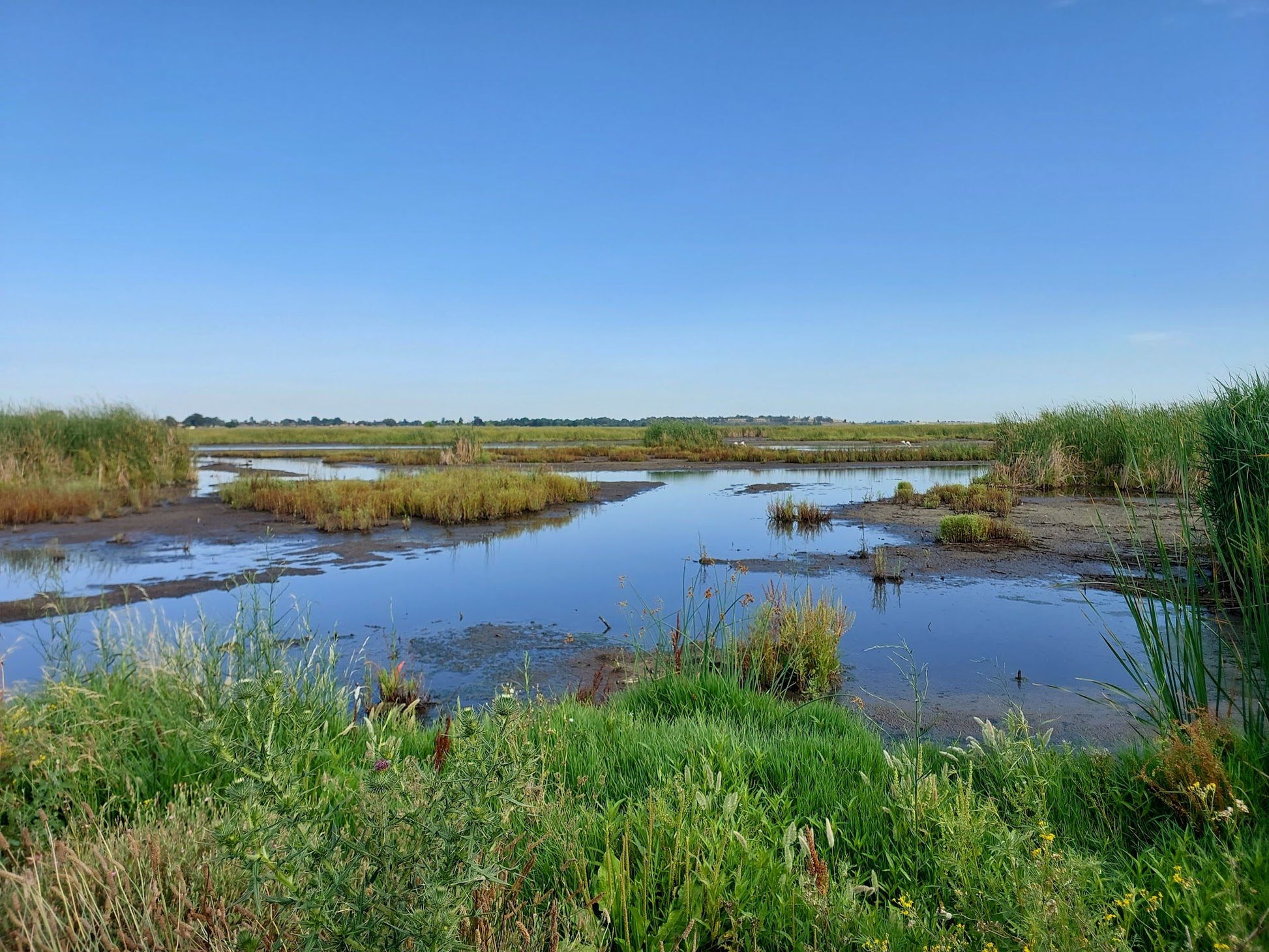  Marievale Bird Sanctuary