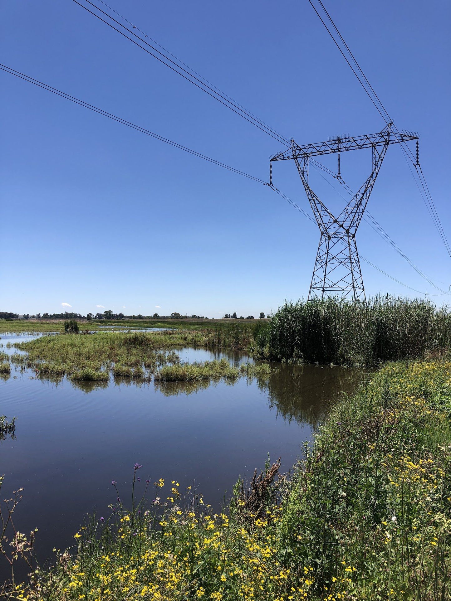  Marievale Bird Sanctuary