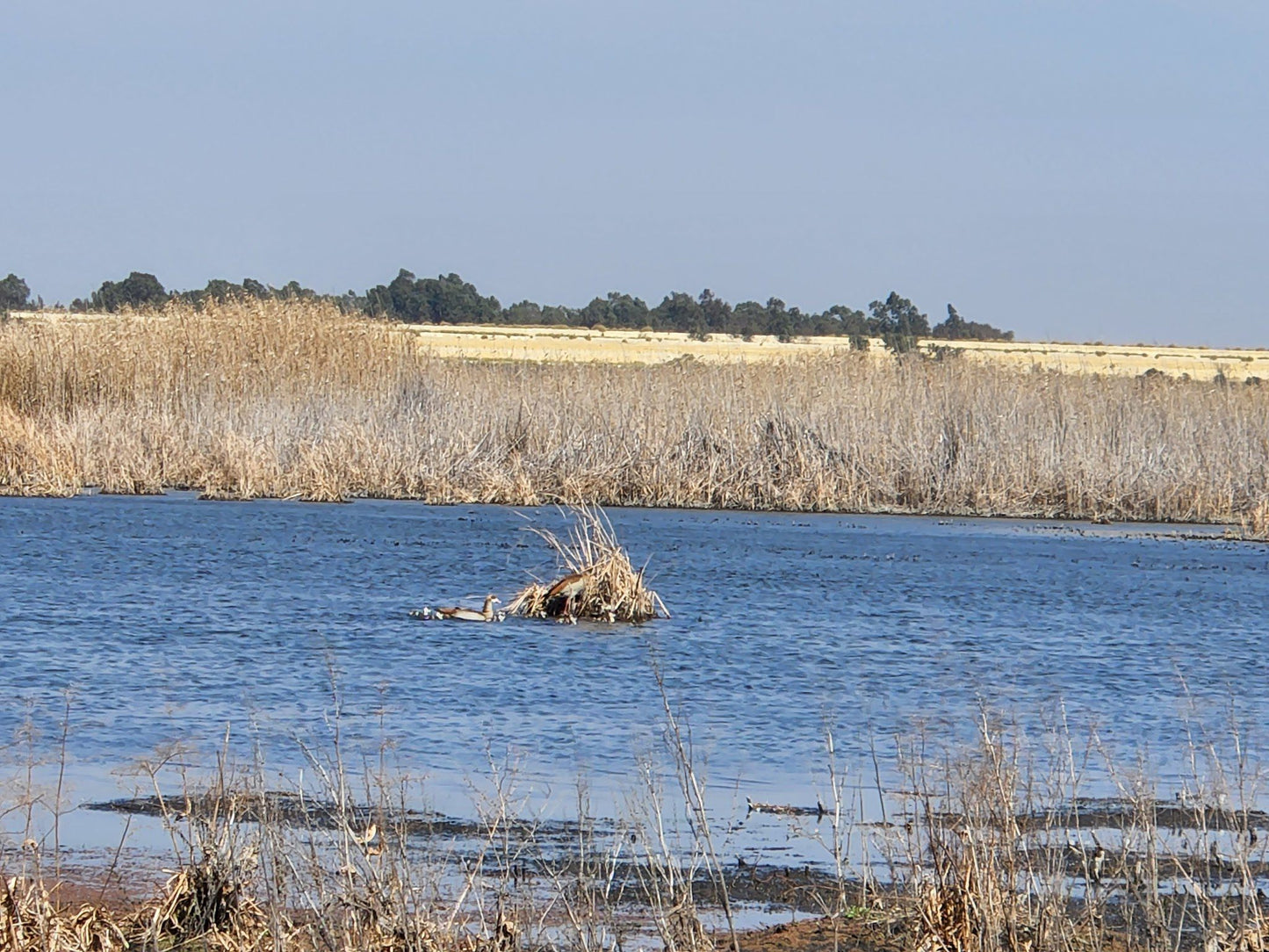  Marievale Bird Sanctuary