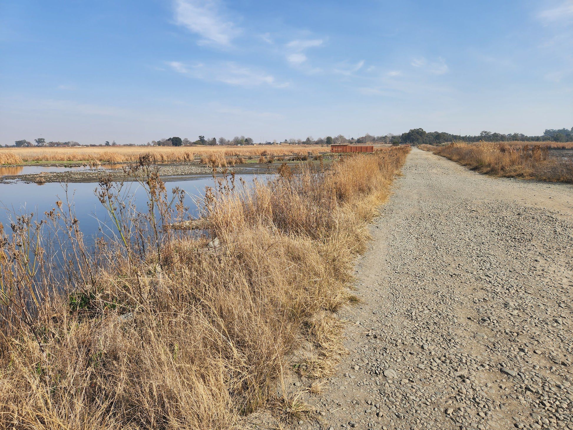  Marievale Bird Sanctuary