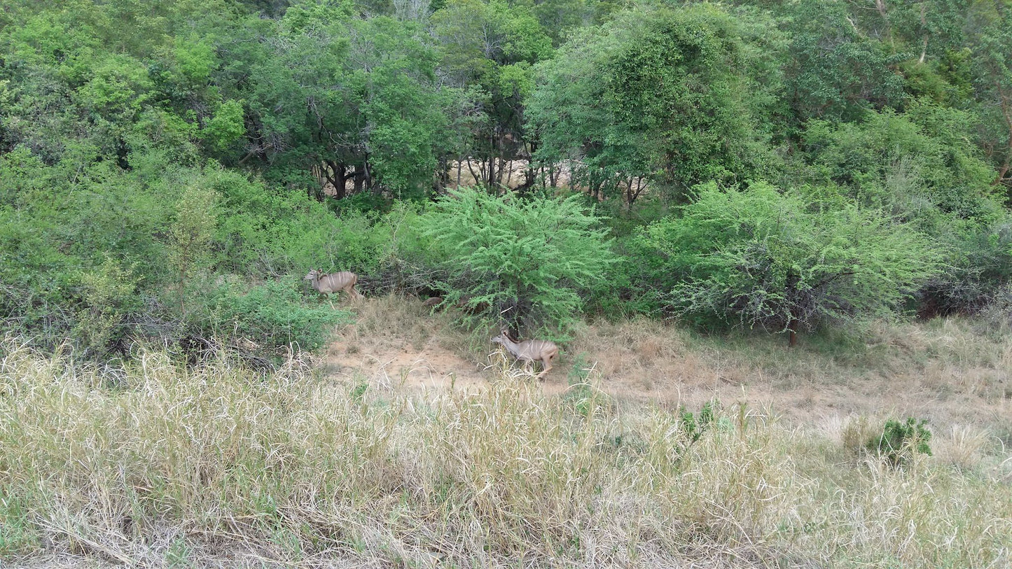  Matlatse Canyon Provincial Nature Reserve