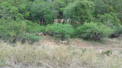  Matlatse Canyon Provincial Nature Reserve