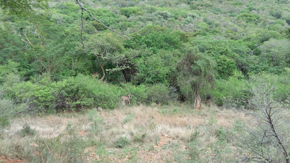  Matlatse Canyon Provincial Nature Reserve