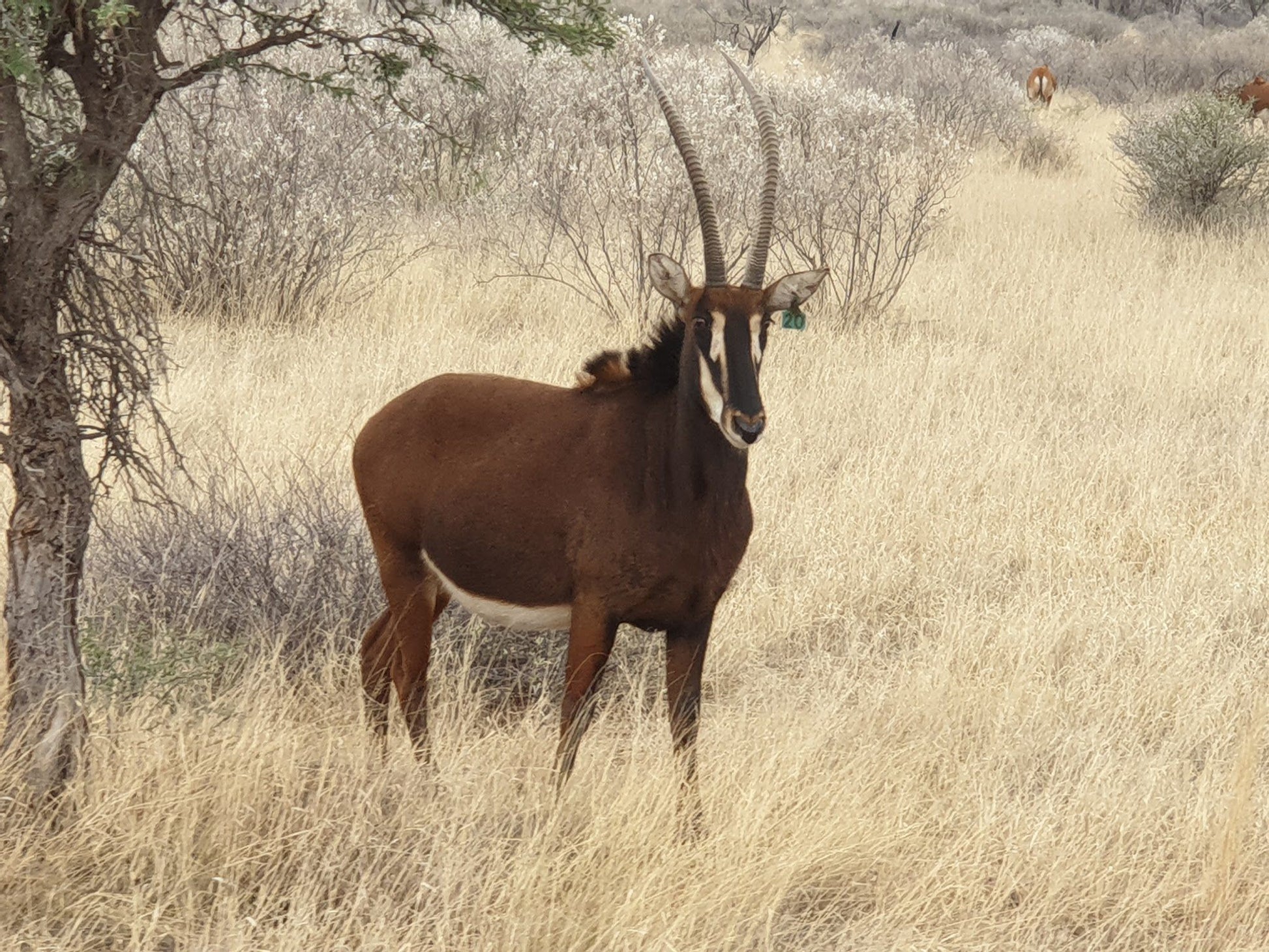  Mattanu Private Game Reserve