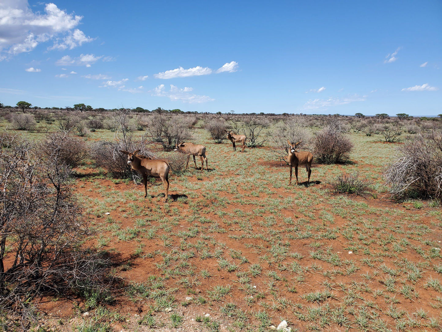  Mattanu Private Game Reserve