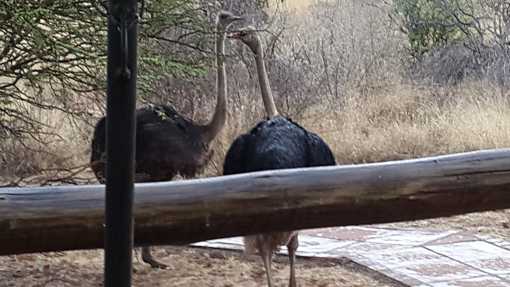  Mattanu Private Game Reserve