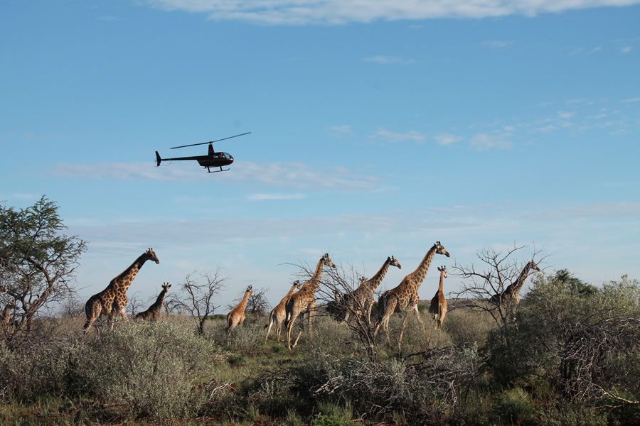  Mattanu Private Game Reserve