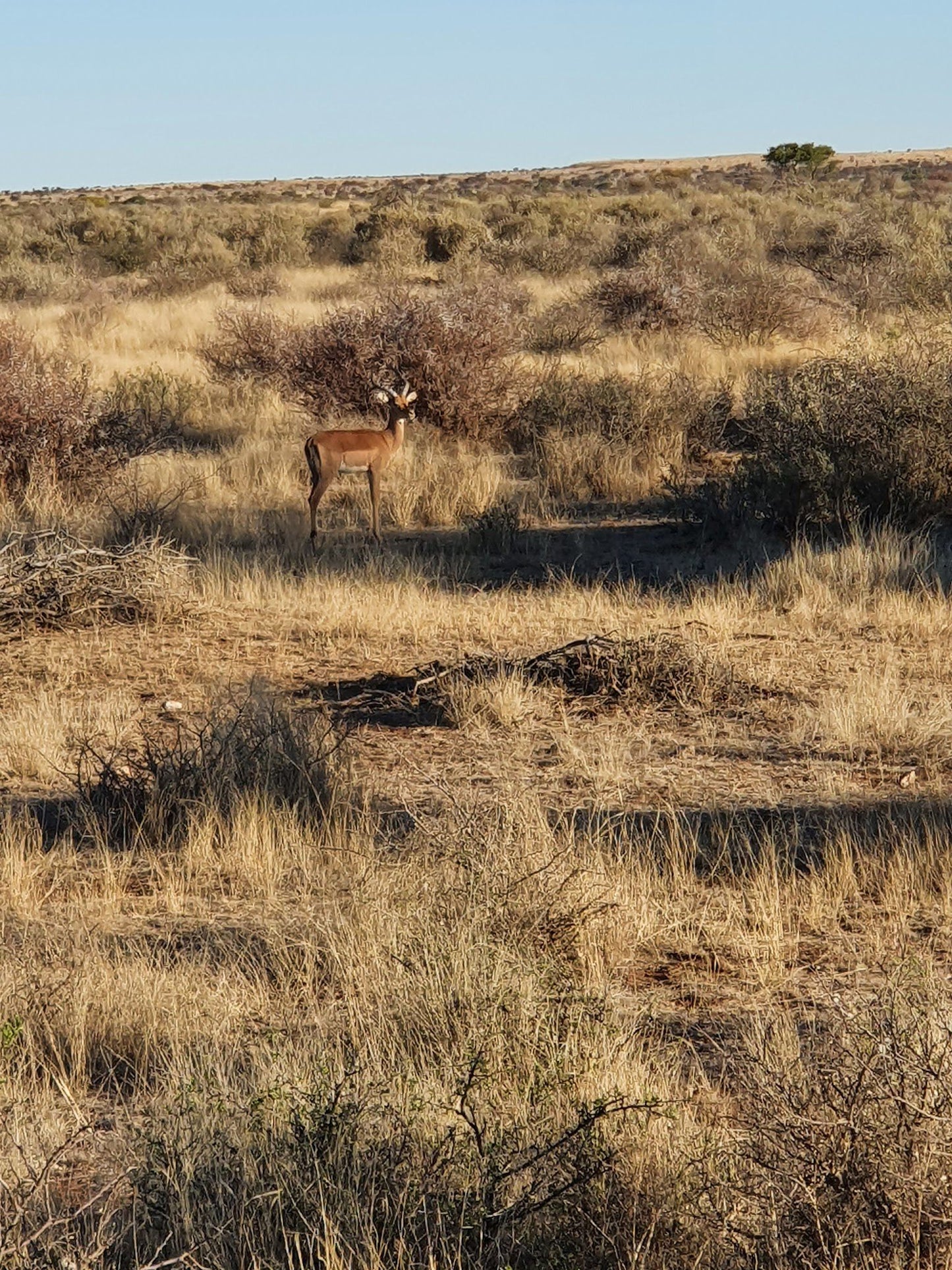  Mattanu Private Game Reserve