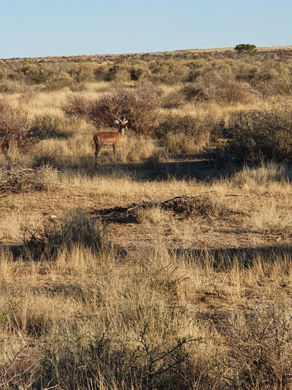  Mattanu Private Game Reserve