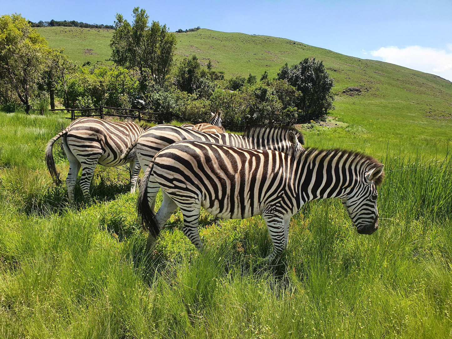  Mbona Private Nature Reserve