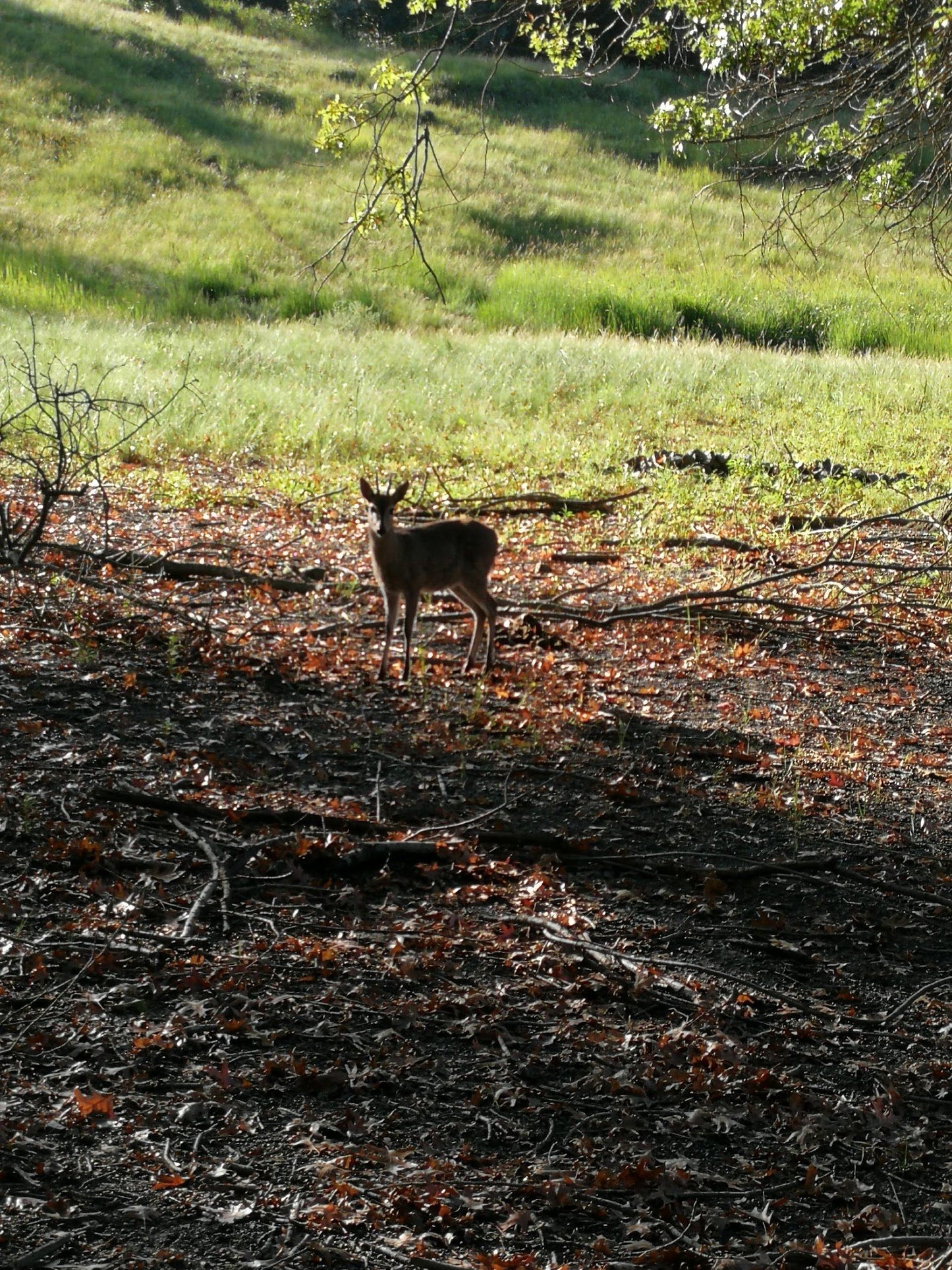  Mbona Private Nature Reserve