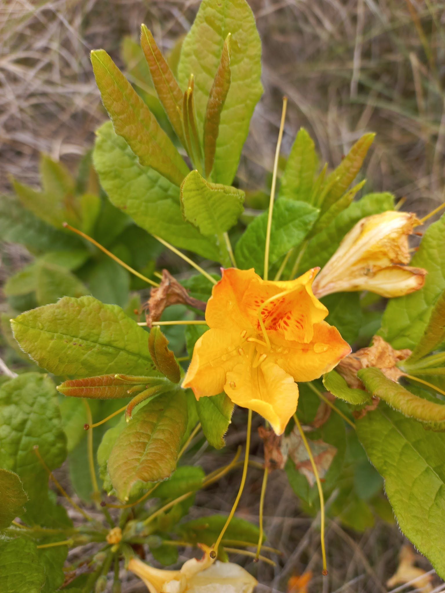  Mbona Private Nature Reserve