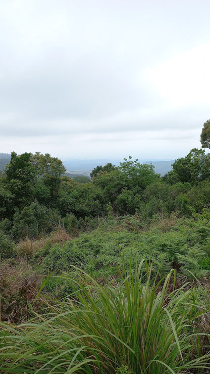  Mbona Private Nature Reserve