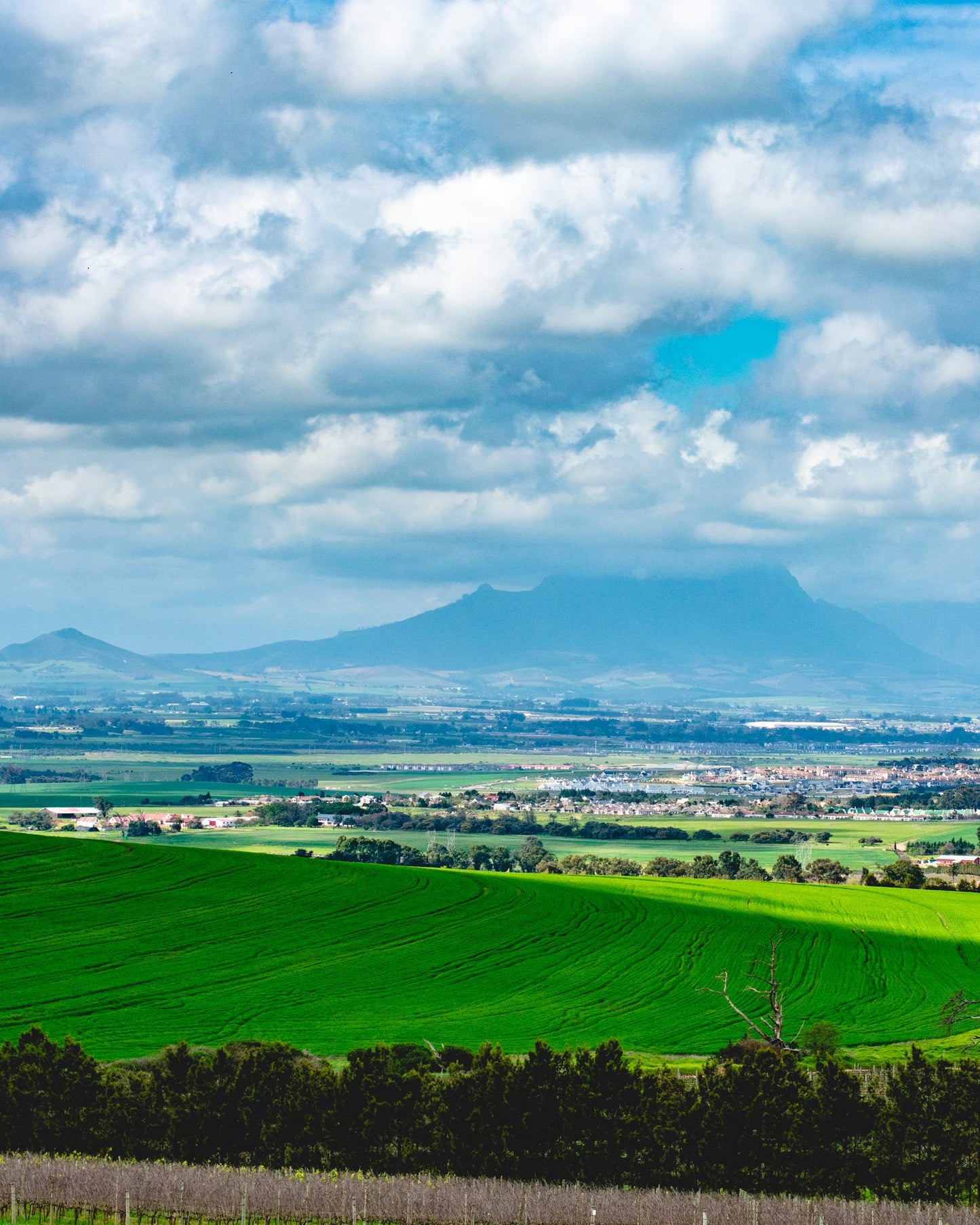  Meerendal MTB Trail