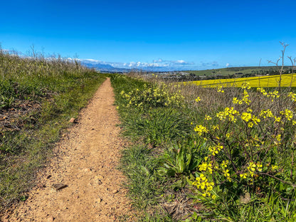  Meerendal MTB Trail