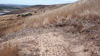  Meerendal MTB Trail