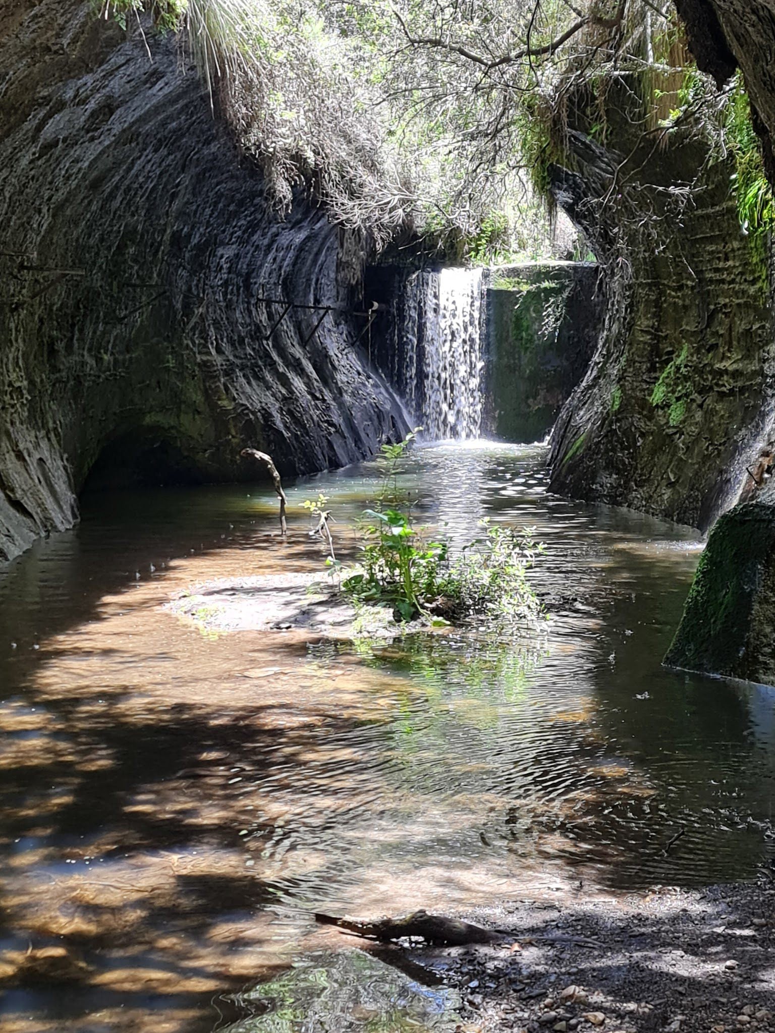  Meiringskloof Nature Park