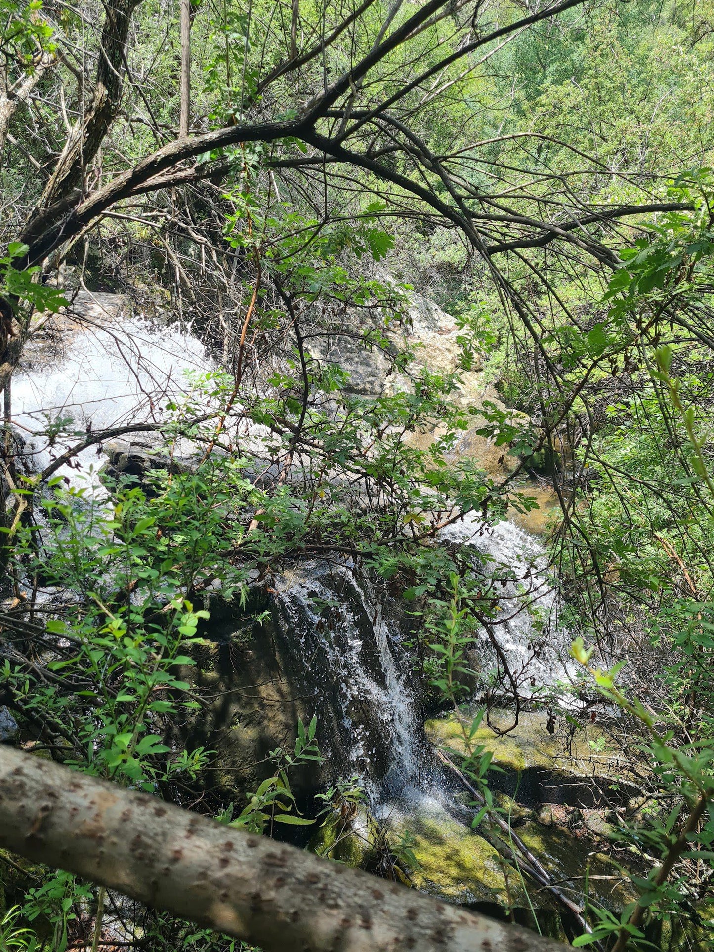  Meiringskloof Nature Park