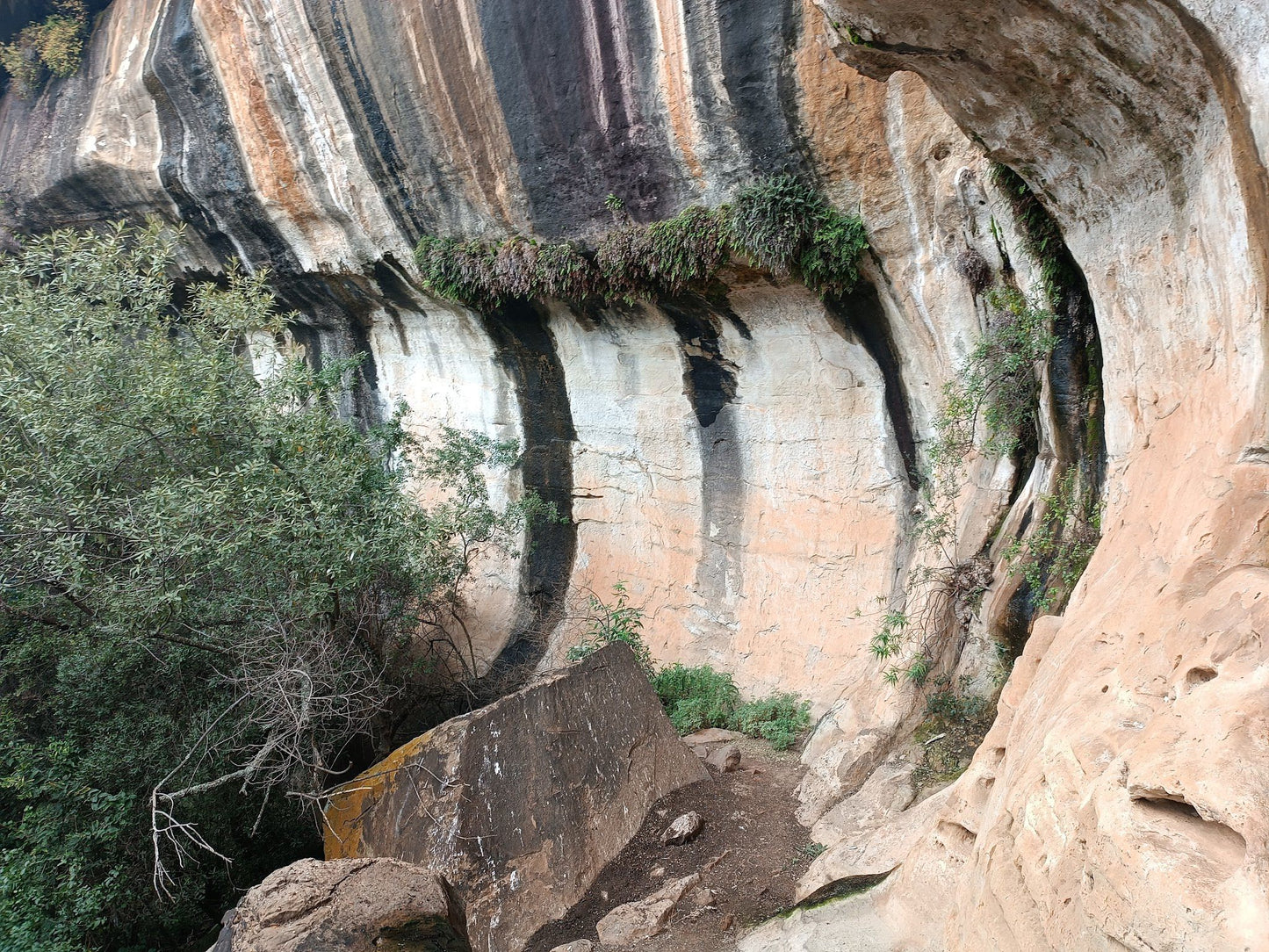  Meiringskloof Nature Park