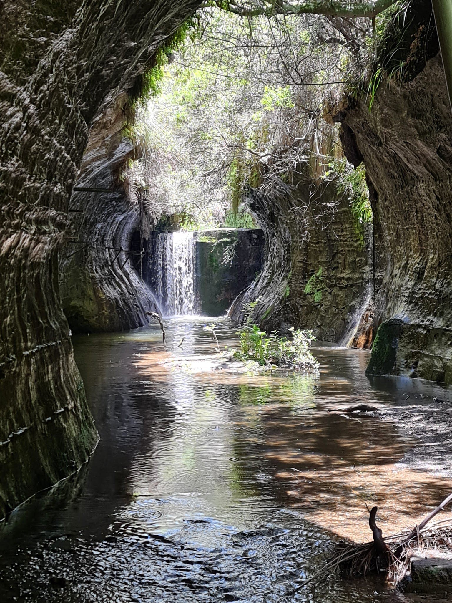  Meiringskloof Nature Park