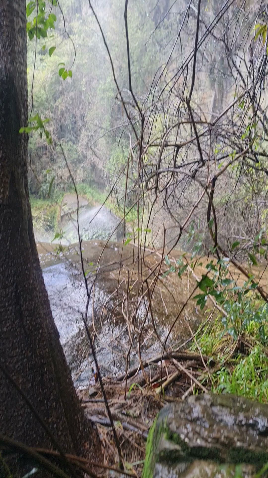  Meiringskloof Nature Park