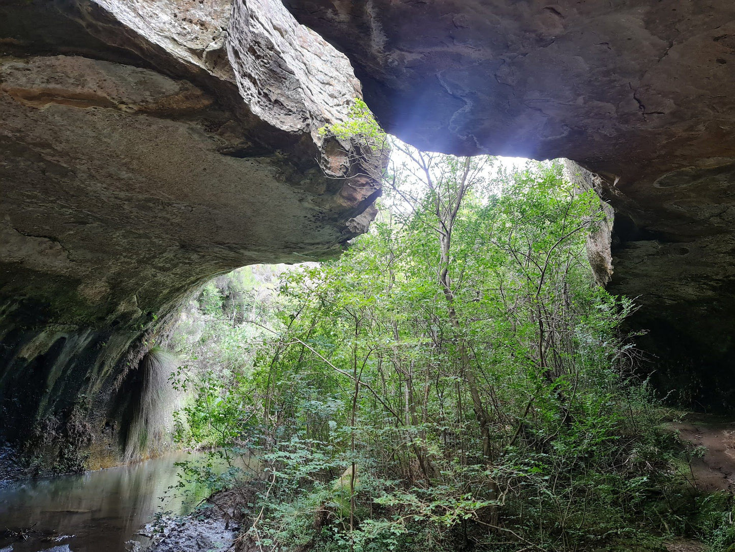  Meiringskloof Nature Park